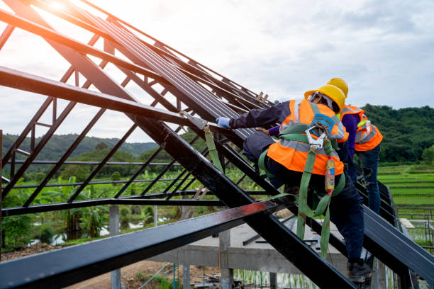 Best Roof Gutter Cleaning  in Aurora, MO
