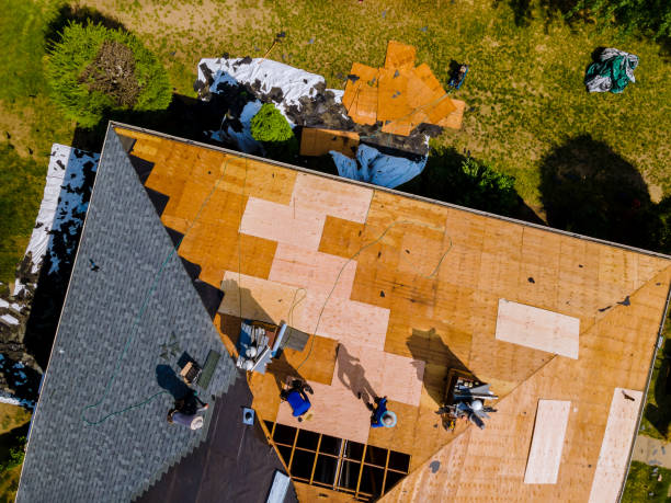 Best Storm Damage Roof Repair  in Aurora, MO